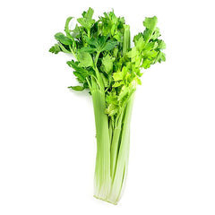 Celery – 16 oz