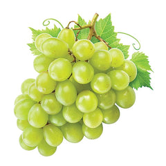 Green Seedless Grapes – 16 oz