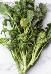 Broccoli Rabe (Rapini)