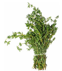 Thyme - 1 Bunch 16 oz (1 lb.)
