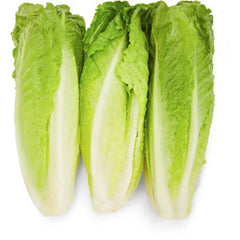 Fresh Romaine Lettuce, 3 Heads – 12 oz