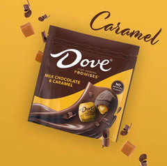 Dove Promises Milk Chocolate Caramel Candy – 6.74 oz