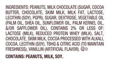 REESE'S Milk Chocolate Snack Size Peanut Butter Eggs, Easter Candy Bag, 9.6 oz